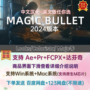 PR/AE/FCPX插件红巨星人Magic Bullet 2024中文汉化looks调色Mac