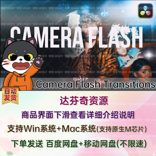 相机闪光灯光效转场特效预设达芬奇模板Camera Flash Transitions