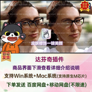 中文汉化达芬奇插件-皮肤修饰一键美颜 DaVinci Resolve