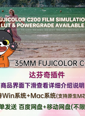 达芬奇复古胶片调色LUTs+DCTL节点预设 35MM FUJICOLOR C200