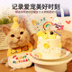 扮装 新品 宠物猫咪狗狗派m对生日帽围兜猫猫小狗帽子口水巾可爱装