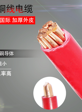 极速零剪国标BV单芯线电缆BVtR1.5 2.5 4 6平方软塑铜线软电线多