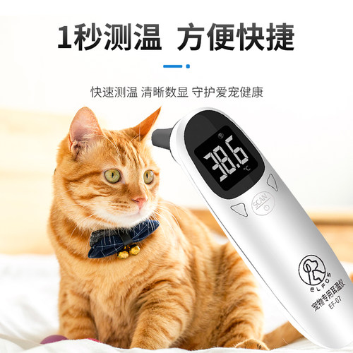 新品猫咪体温计宠物专用测体温狗用兽用猪用电子测量温Y度计猫用
