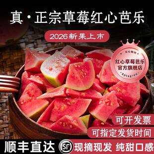 正宗】红心草莓芭乐官方旗舰店水果新鲜包邮番石榴大果广西奶油
