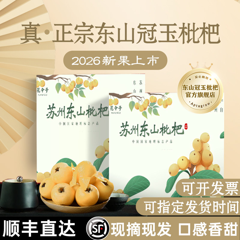 正宗东山冠玉枇杷丨顺丰现摘现发
