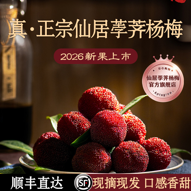 荸荠杨梅旗舰店现摘现发冷链直达