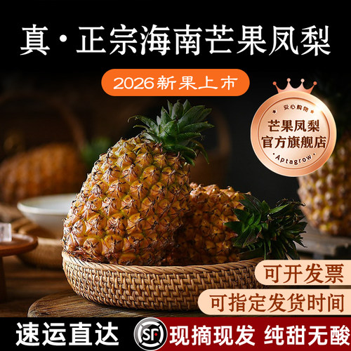 正宗海南芒果凤梨丨顺丰包邮