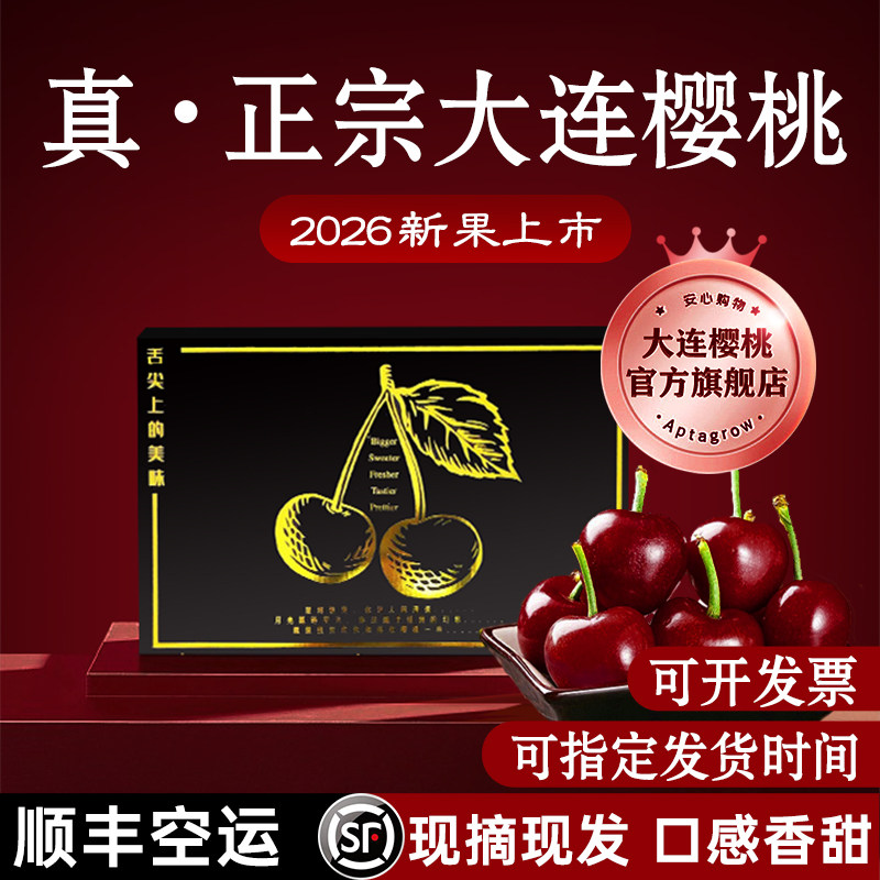 正宗大连樱桃现摘现发顺丰空运