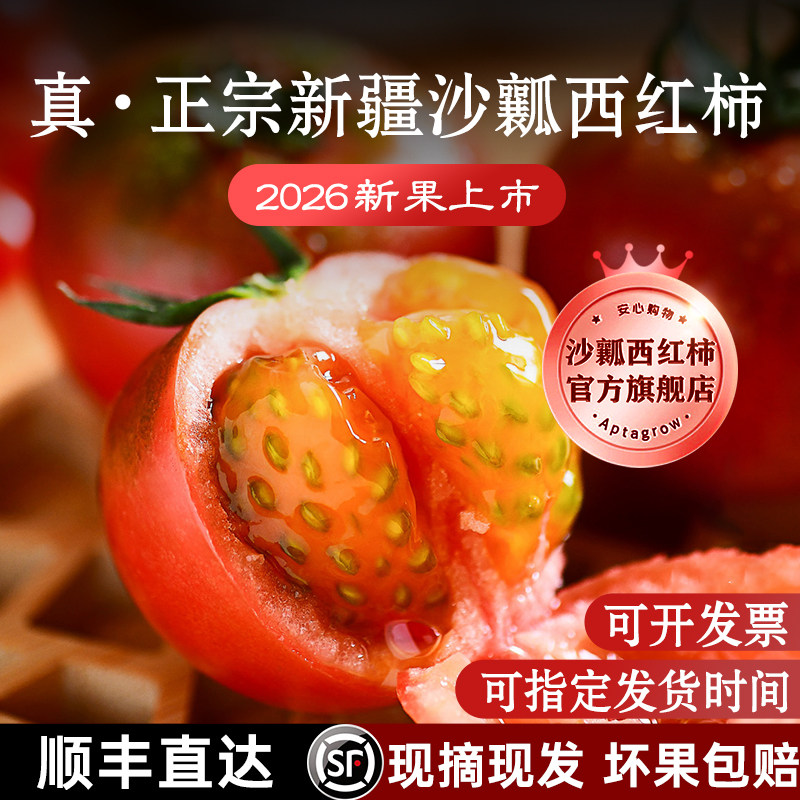 正宗】新疆普罗旺斯沙瓤西红柿新鲜现摘自然熟生吃番茄顺丰孕妇