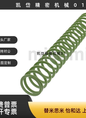 SWY12.5-15 20 25 30 40 45 50 55 60~300淡绿色矩形模具螺旋弹簧