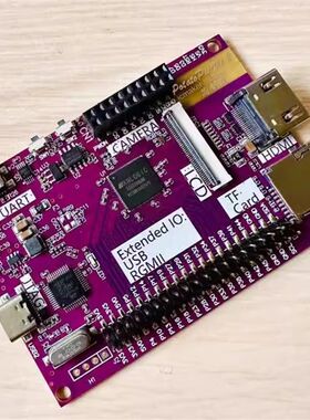 FPGA开发板 20K【含下载器】图像处理 RISC-V Linux Tang Nano