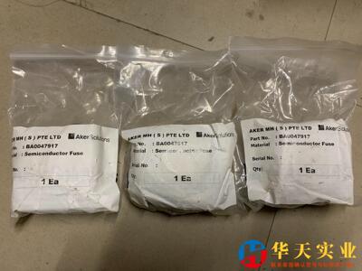 B300082 快速熔断器