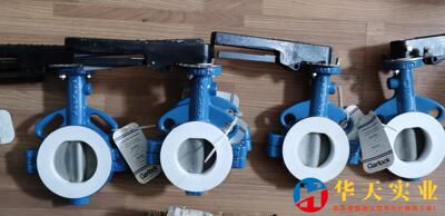 Garlock蝶阀 不锈钢板内衬聚四氟乙烯PTF