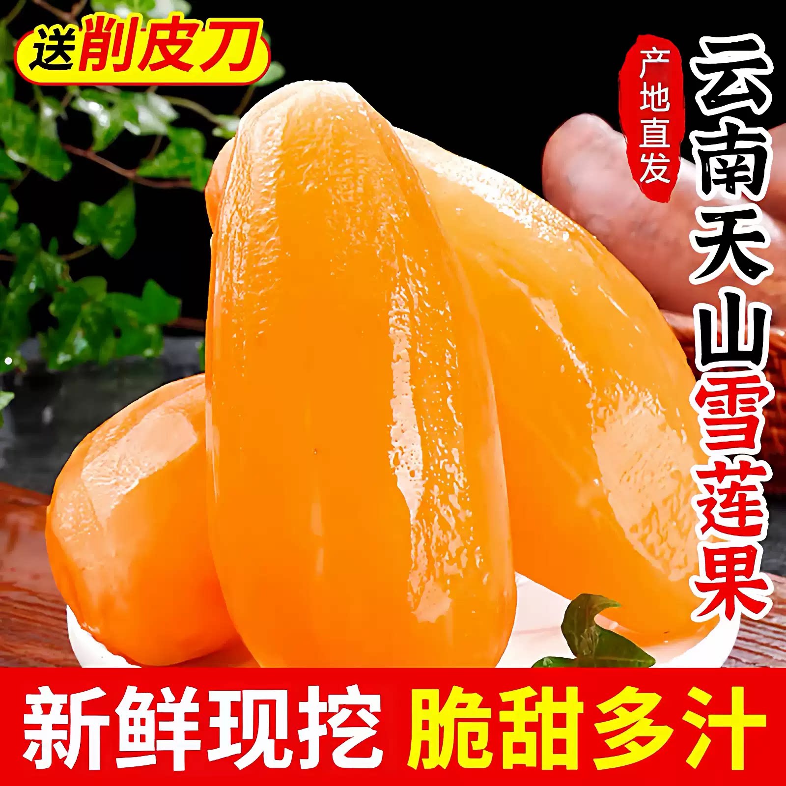云南天山雪莲果9斤新鲜红沙泥雪莲果新鲜水果时令水果10整箱包邮5