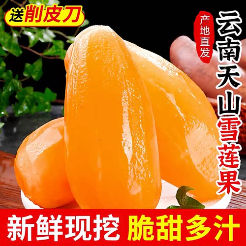 云南天山雪莲果9斤新鲜红沙泥雪莲果新鲜水果时令水果10整箱包邮5