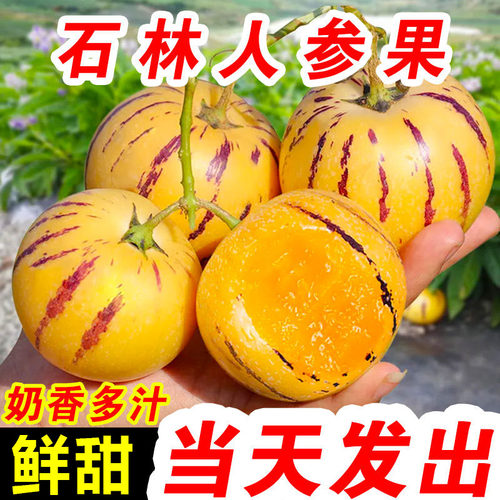 云南石林人参果9斤圆果当季新鲜农家水果黄肉人生果整箱大果包邮