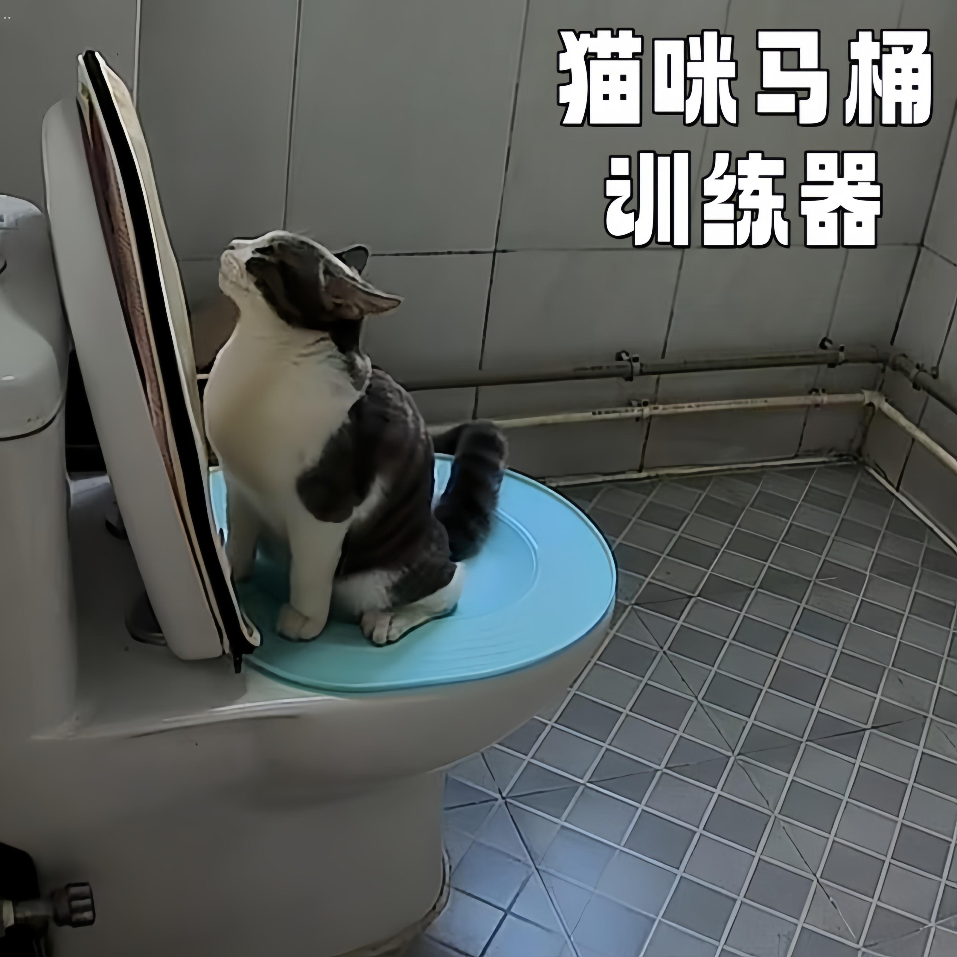 猫咪马桶训练器上厕所蹲厕训练神器可拆卸坐便猫砂盆防外溅猫砂盘