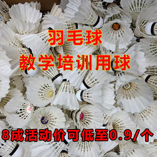 二手耐打羽毛球教学多球训练