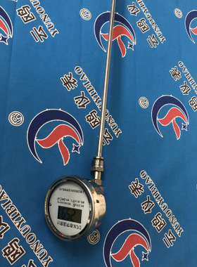 WSS-481/581万向型双金属温度计WSS-481/581 -80~500℃