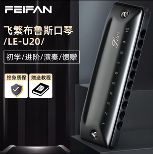 FEIFAN飞繁十孔c调圆孔布鲁斯口琴U20paddy蓝调学生演奏蓝调口琴