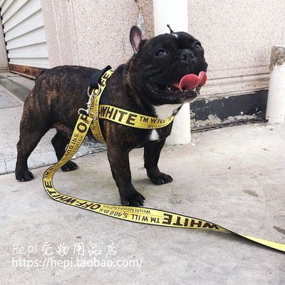 极速Bullyd Harness Leash Set For Chihuahua Pug Schnauzer Wal
