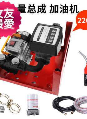 极速24v/12v/22p0v柴油泵电动抽油泵计量12表加油泵组合全自动小