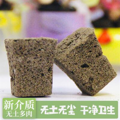 新品无土多肉栽培基质p海绵控养控型育苗块种植专用生物炭绵营养
