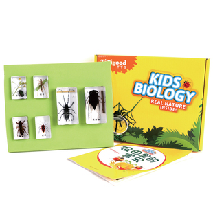 极速黑蚱蝉/蝼蛄/红蝽/金龟星天牛蝗F虫教学动物标本真实 农田里