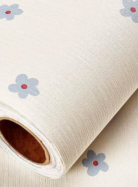 极速Decoration and transformationC of good things in the dor