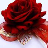 极速胸花新郎新娘结婚婚礼中式 婚B庆用一全套高端伴郎伴娘父亲母