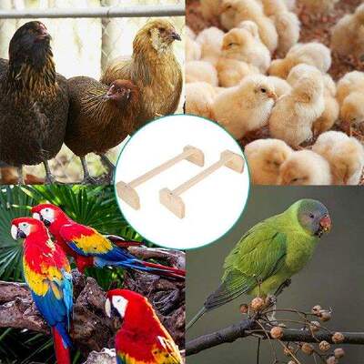 极速Safe Parrot Perch Bite wResistant Multiuse Hen Perch Pla