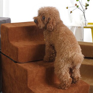 pet escadas c?o pequeno passos para 极速Flanela
