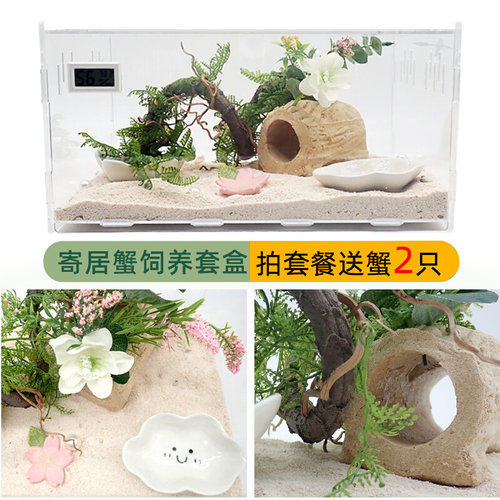 极速寄居蟹饲养箱盒n套餐套装塑料新手迷你懒人宠物压克力透气儿