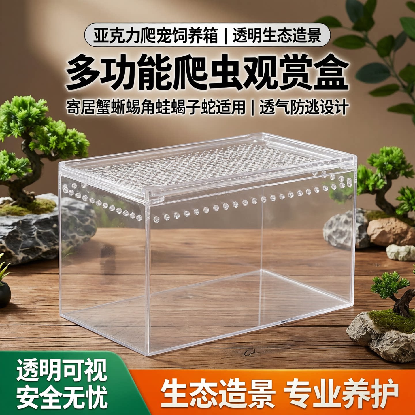 透明亚克力爬宠饲养箱造景生态缸图片