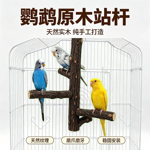 鹦鹉实木站杆磨爪站架鸟笼配件