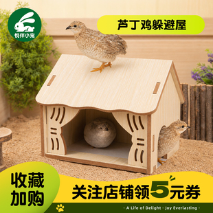 芦丁鸡窝仓鼠躲避屋解闷玩具平台笼子配件金丝熊别墅装饰造景用品