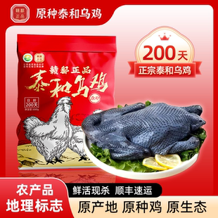 正宗泰和乌鸡新鲜现杀200天农家散养白凤乌骨鸡整鸡顺丰包邮