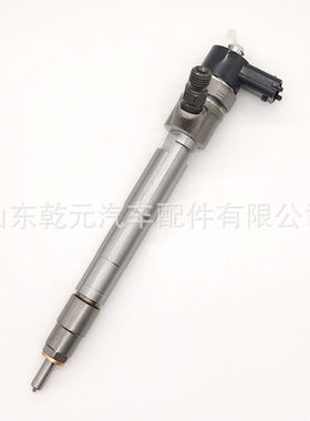 110系列喷油器   0445110461  AN3-9K546-AA  用于 江铃