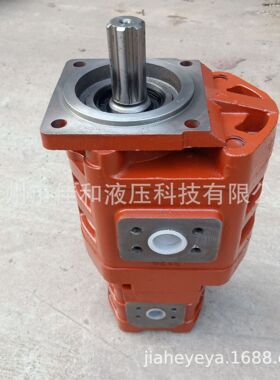 煤矿用履带式全液压坑道钻机齿轮泵CBGJ3125/1032
