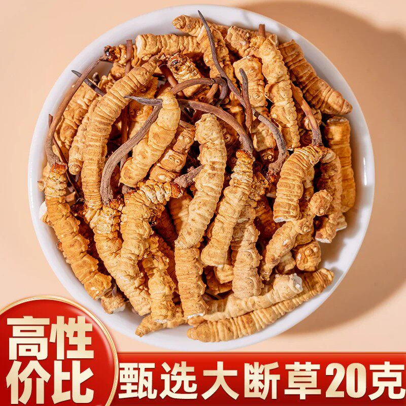 冬虫夏草官方旗舰店正品干货头期大号断虫草正品纯肉泡水泡酒专用