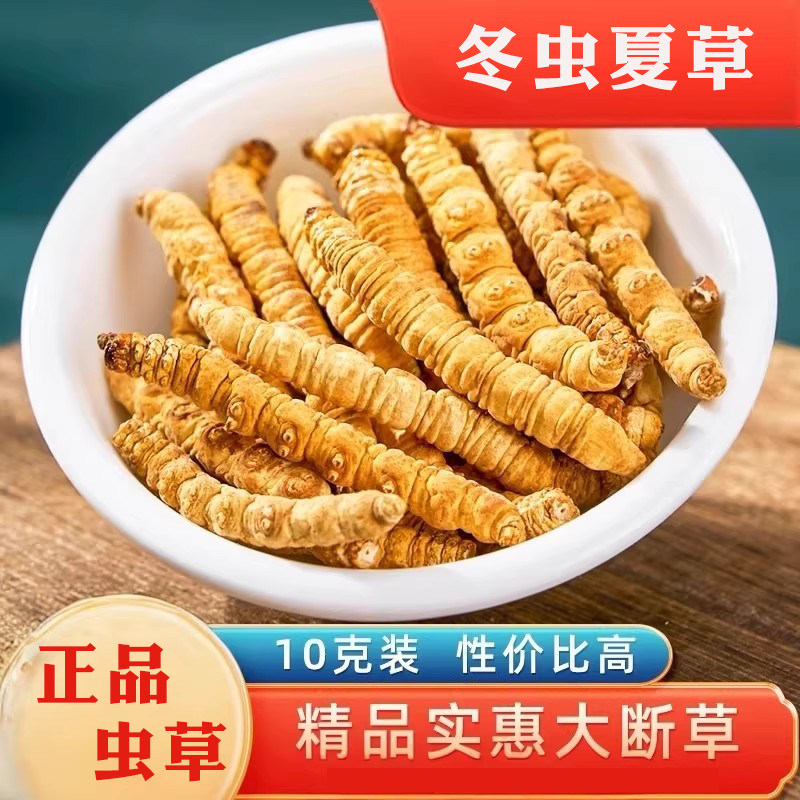 闽如堂冬虫夏草官方旗舰店正品虫草50克大断草10克装