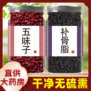 五味子补骨脂中药材组合茶北五味破故纸婆固脂泡水煮水喝功效作用