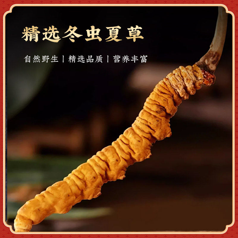 冬虫夏草正品官方旗舰店头期新鲜虫草10克/30根干货年货礼盒送礼