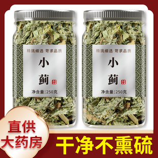 小蓟中药材正品官方旗舰店干货小蓟刺狗牙新鲜野生刺儿莱泡茶泡水