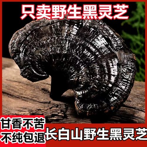 黑灵芝野生长白山500克灵芝切片林芝干货整朵正品泡酒灵芝养生茶