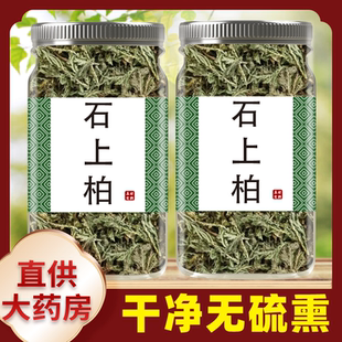 野生石上柏500g克中药材石上柏中草药石柏新鲜干货地柏草地侧柏叶