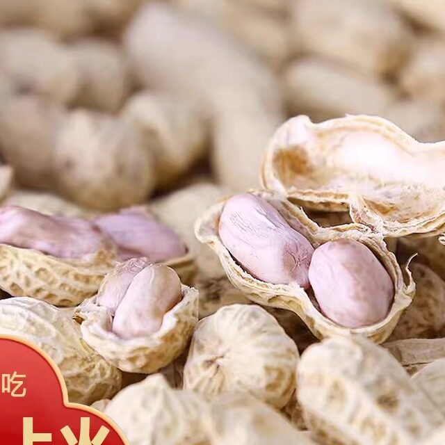 广东农家河源特产日晒水煮花生咸干带壳新鲜原味零食坚果特产