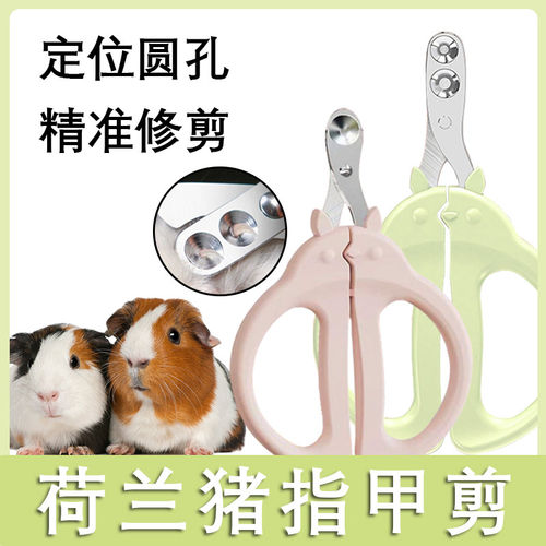 荷兰猪指甲剪豚鼠专用剪刀磨甲器洗澡圆孔小宠指甲钳神器用品宠物