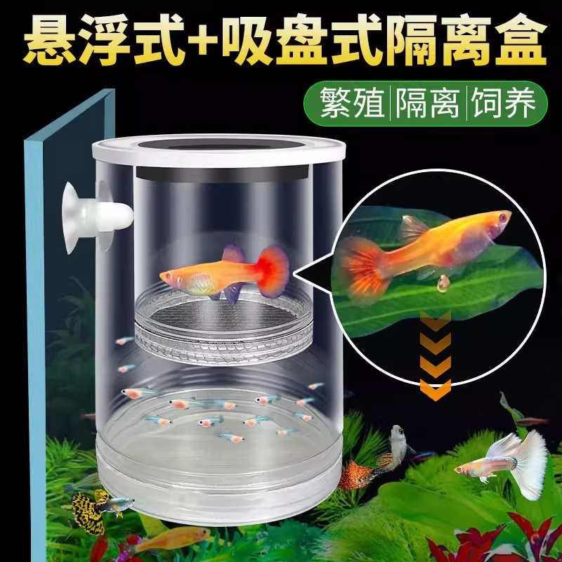 鱼缸悬浮式孔雀鱼繁殖隔离盒小鱼幼鱼苗凤尾母鱼产房漂浮孵化罐网