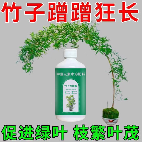 竹子营养液预防叶子发黄盆栽竹子专用肥料免稀释液体肥水溶肥